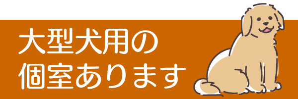 大型犬用の個室あります